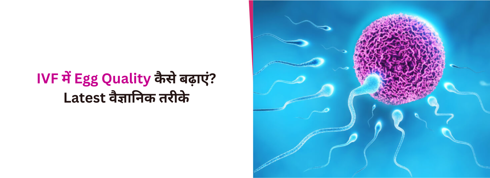 IVF में Egg Quality कैसे बढ़ाएं? Latest वैज्ञानिक तरीके