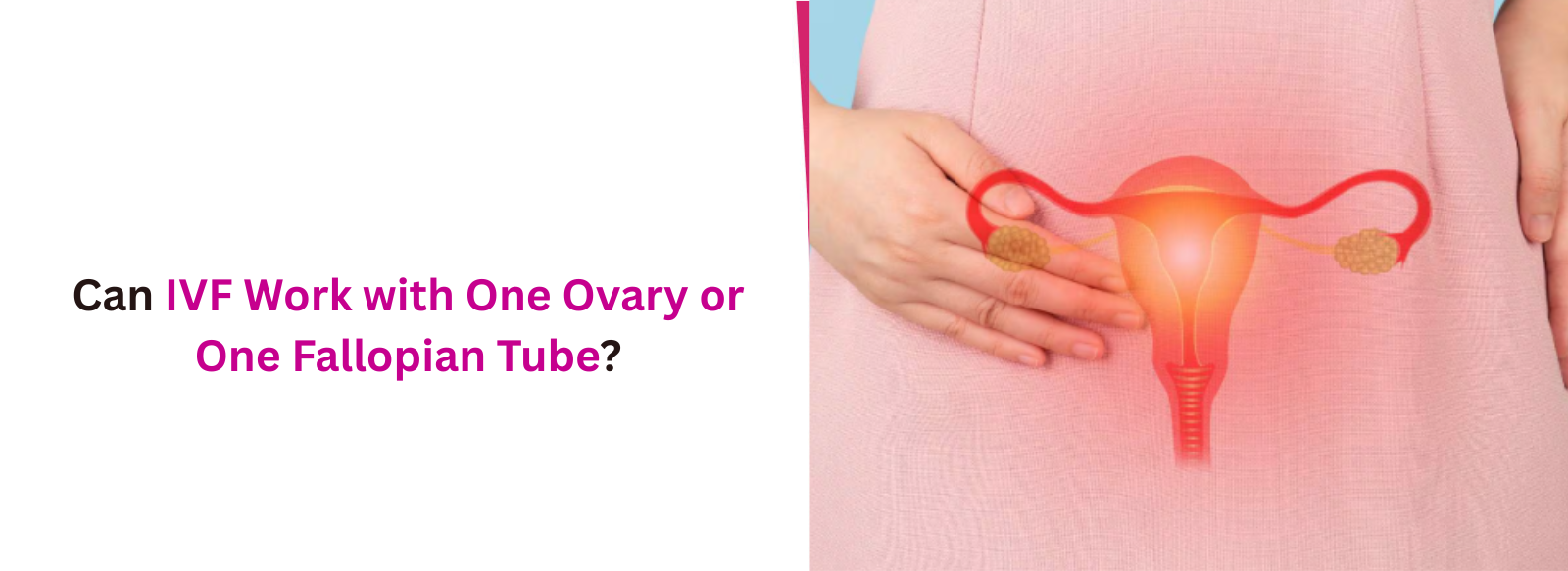 Can IVF Work with One Ovary or One Fallopian Tube?
