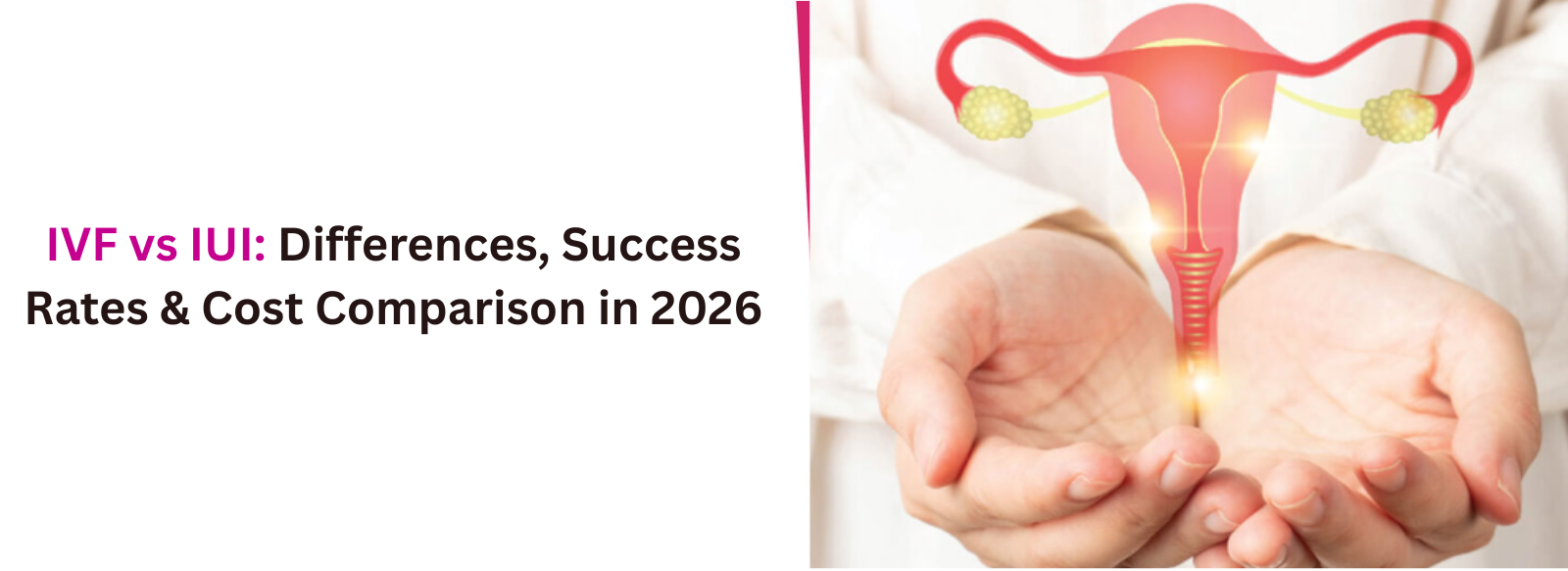 IVF vs IUI: Differences, Success Rates & Cost Comparison in 2026