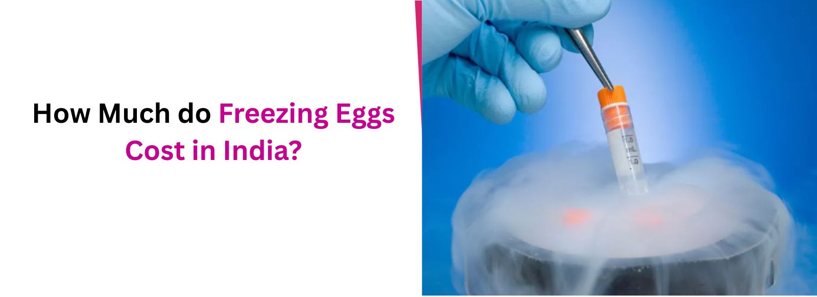 How Much do Freezing Eggs Cost in India?