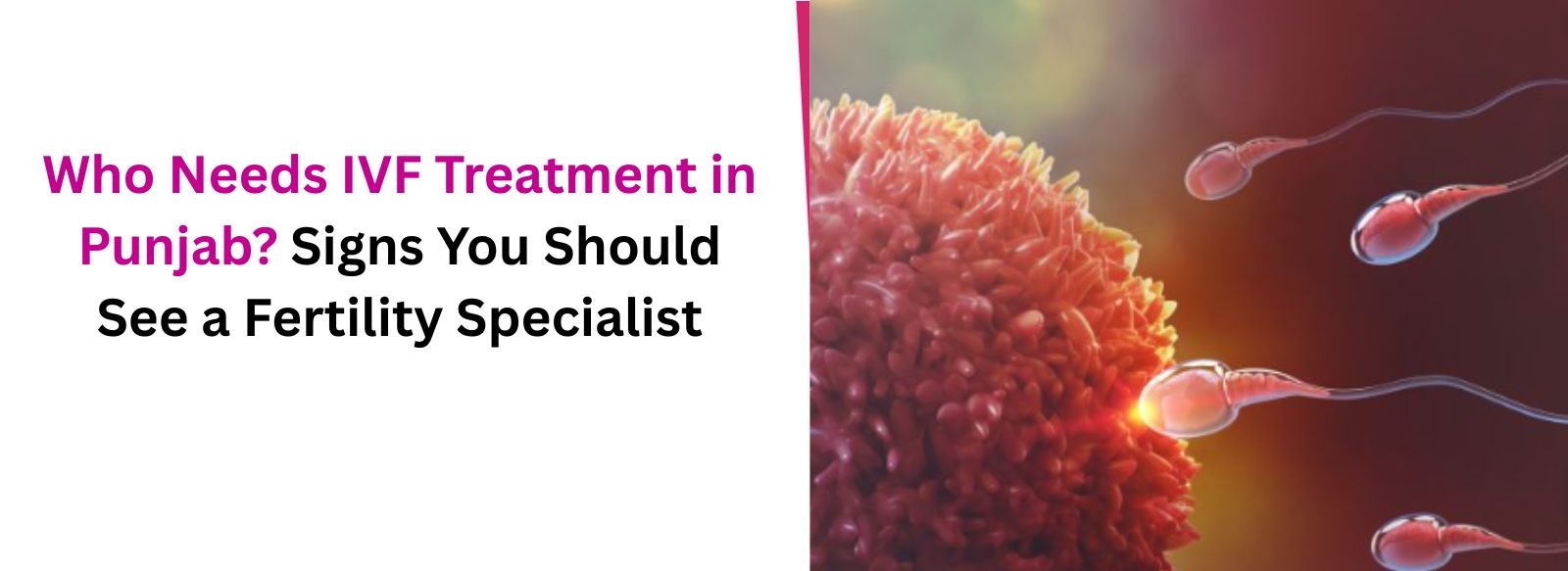 Who Needs IVF Treatment in Punjab? Signs You Should See a Fertility Specialist