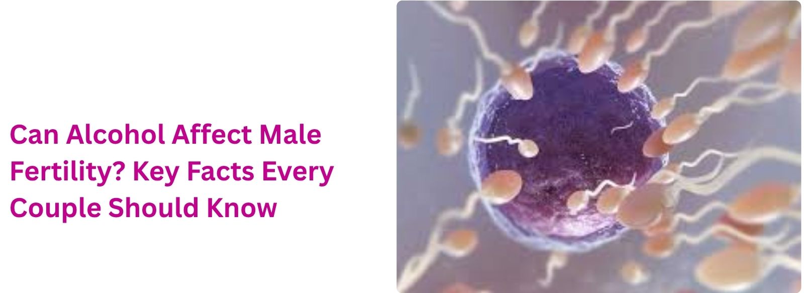 Can Alcohol Affect Male Fertility? Key Facts Every Couple Should Know
