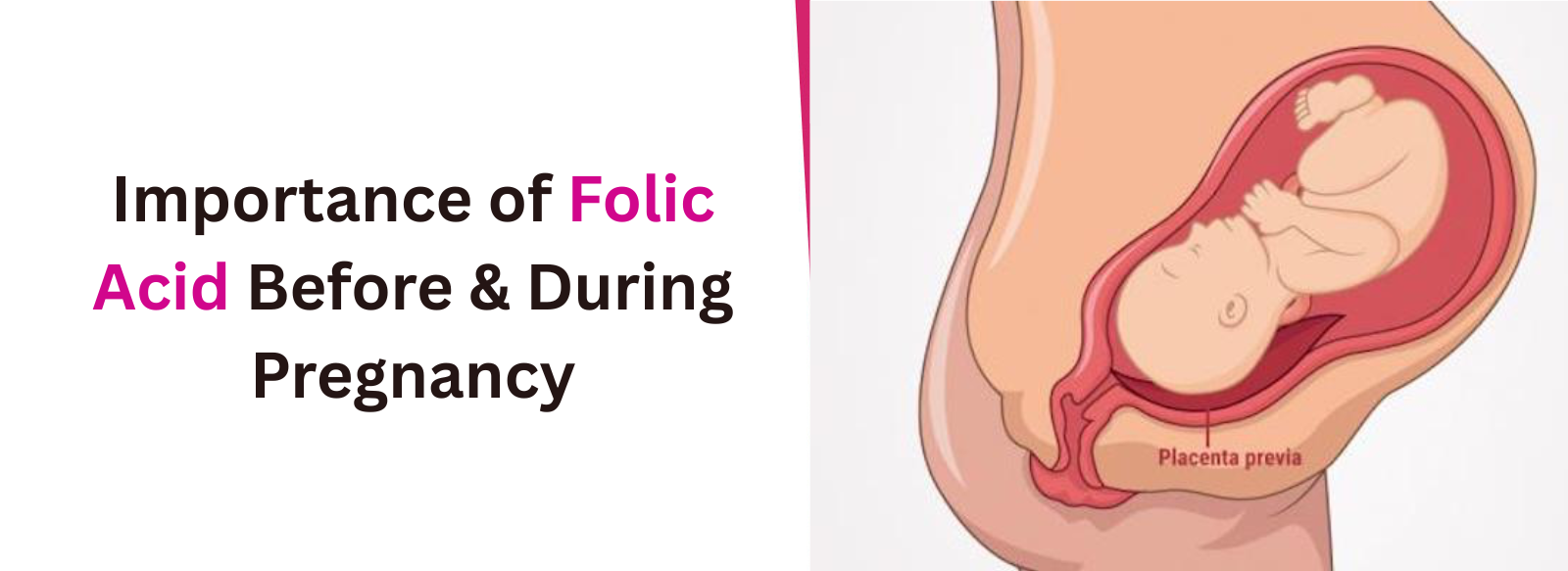 Importance of Folic Acid Before & During Pregnancy