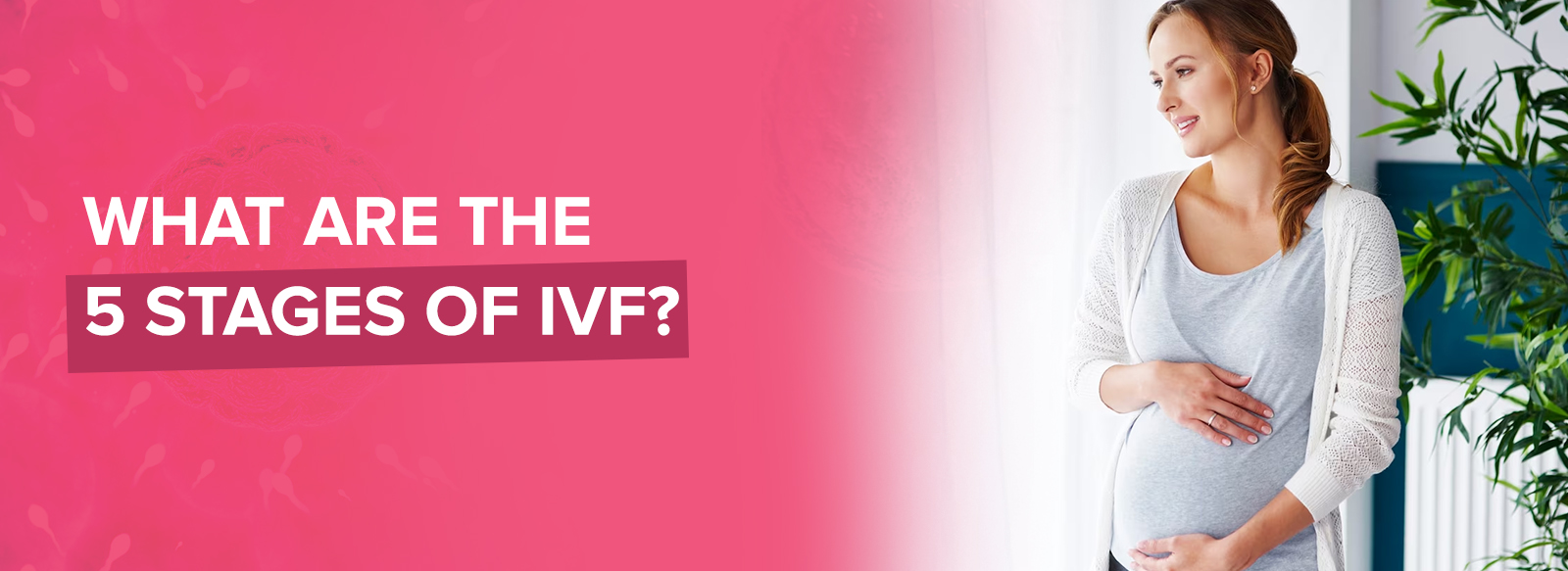What Are the 5 Stages of IVF?