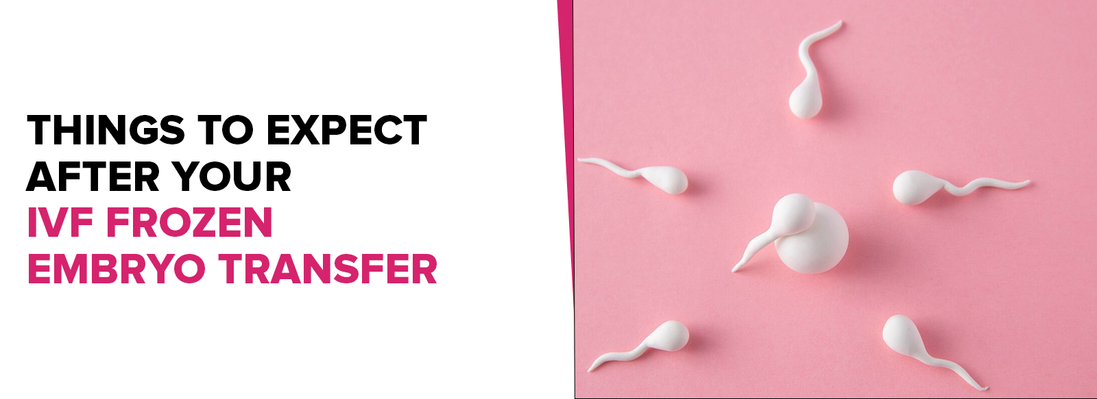Things to Expect After Your IVF Frozen Embryo Transfer