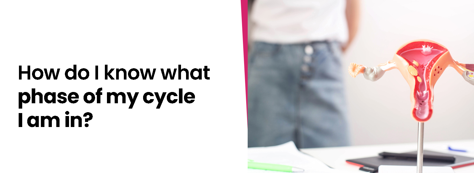 How Do I Know What Phase of My Cycle I Am In?