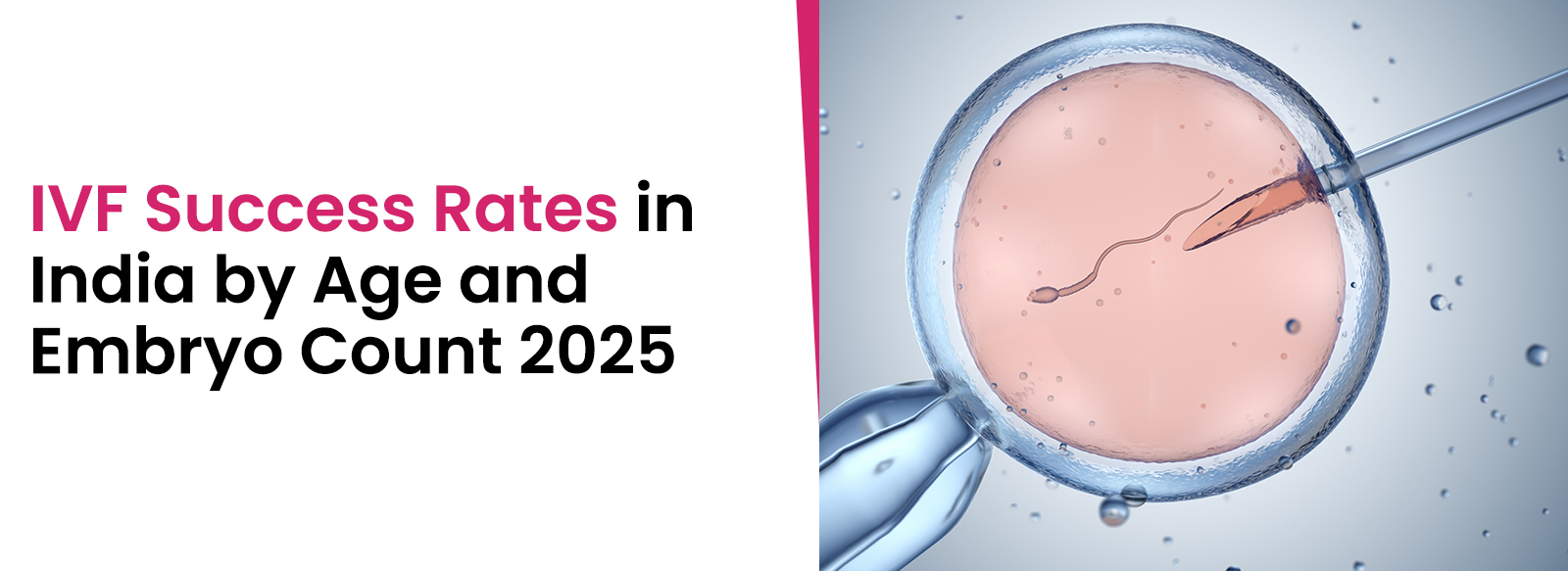 IVF Success Rates in India by Age and Embryo Count 2025