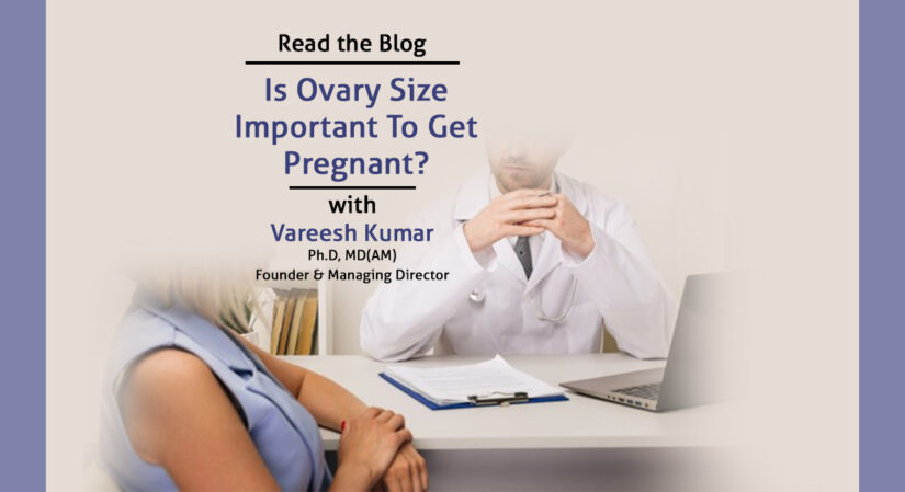 Is Ovary Size Important To Get Pregnant?