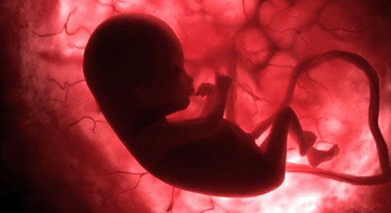 Mystery Of An Infertile Womb