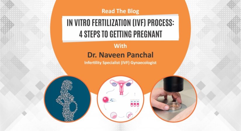 In Vitro Fertilization (IVF) Process: 4 Steps to Getting Pregnant