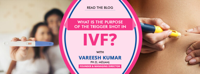 What is the purpose of the trigger shot in IVF?