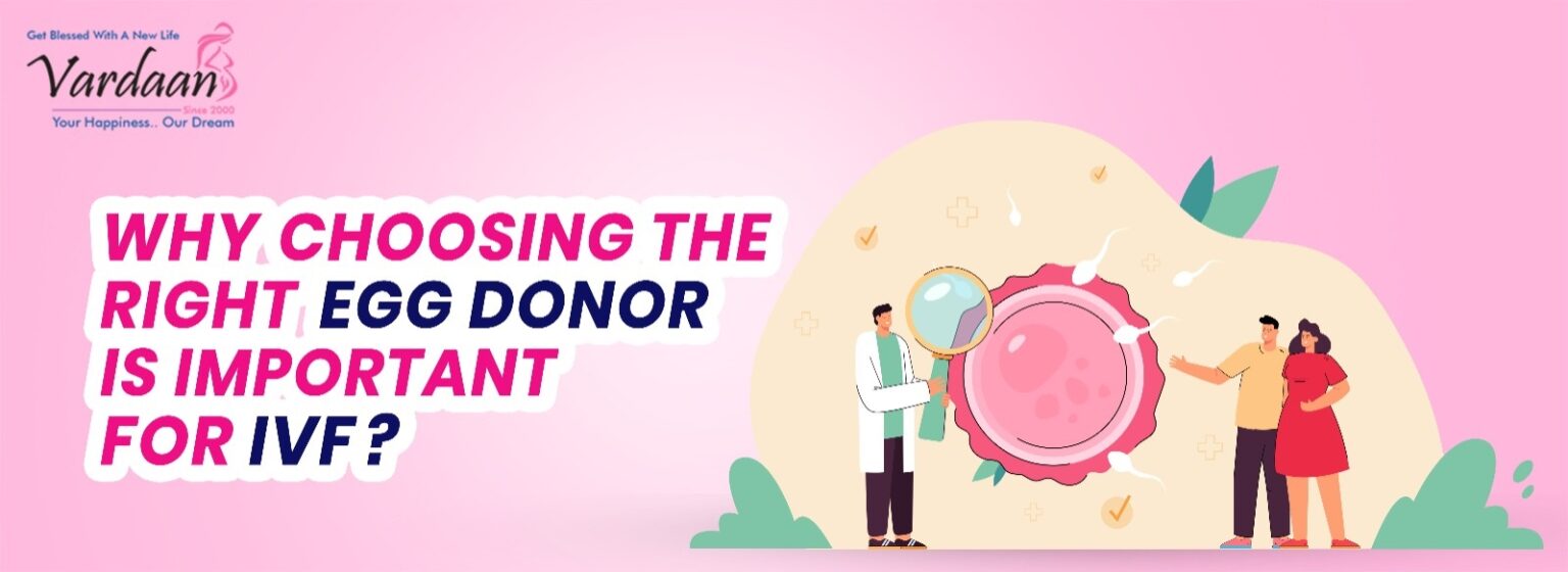 Why choosing the right egg donor is important for IVF