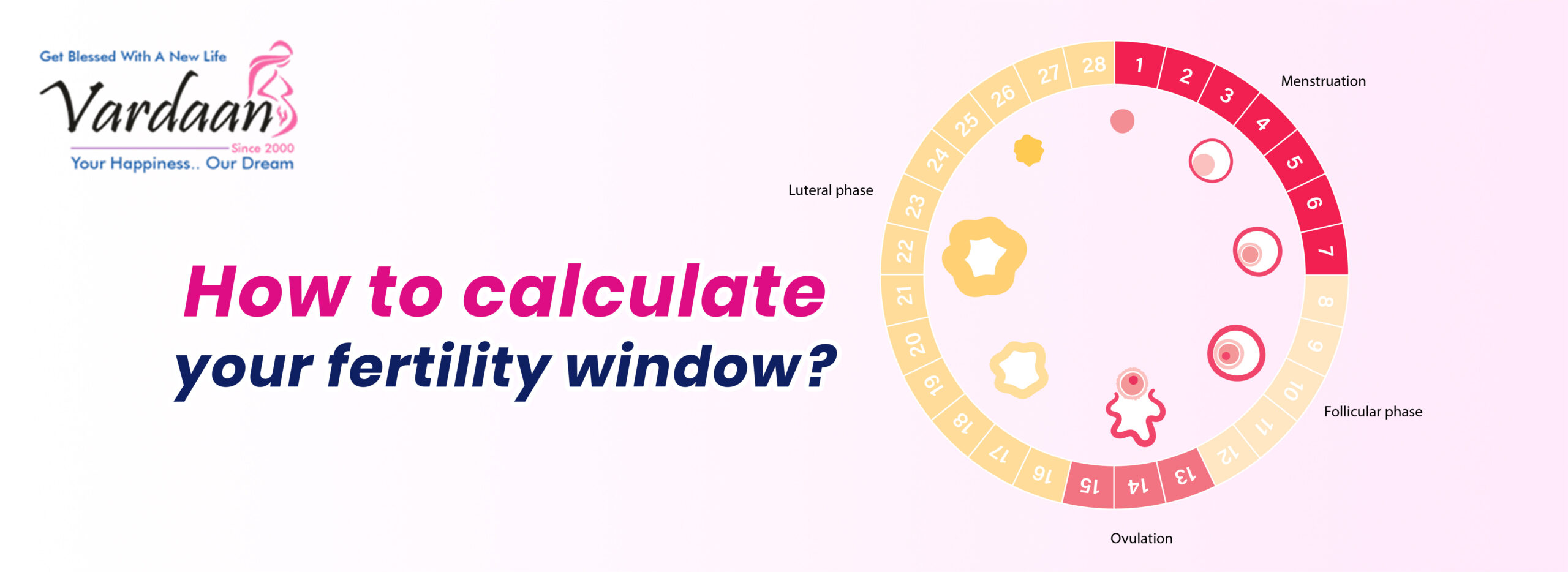 How to calculate your fertility window