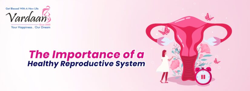 The Importance of a Healthy Reproductive System