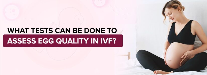 What tests can be done to assess egg quality in IVF?