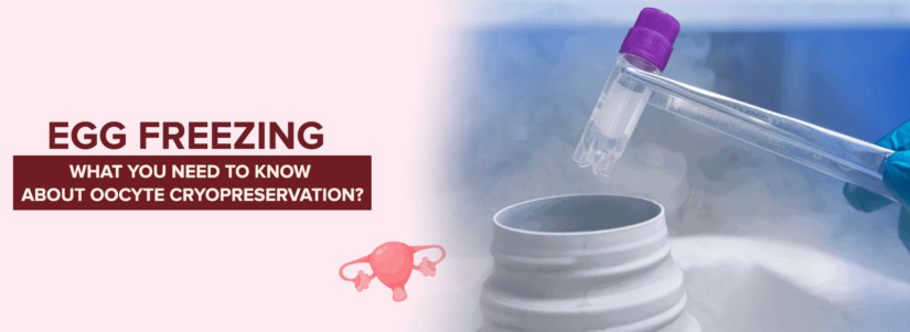 Egg Freezing: What You Need to Know About Oocyte Cryopreservation?