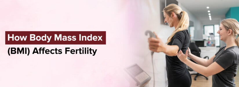 Fertility and Weight: How Body Mass Index (BMI) Affects Fertility