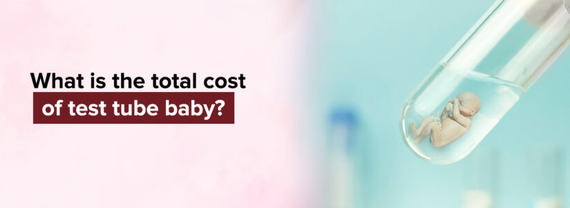 What is the Total Cost of Test Tube Baby?