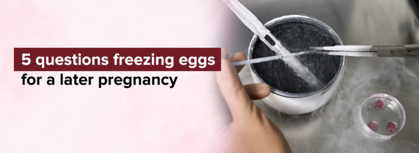 5 Key Questions About Freezing Eggs for Future Pregnancy