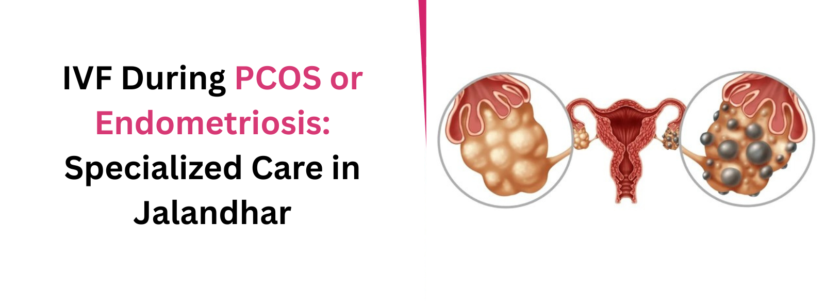 IVF During PCOS or Endometriosis: Specialized Care in Jalandhar