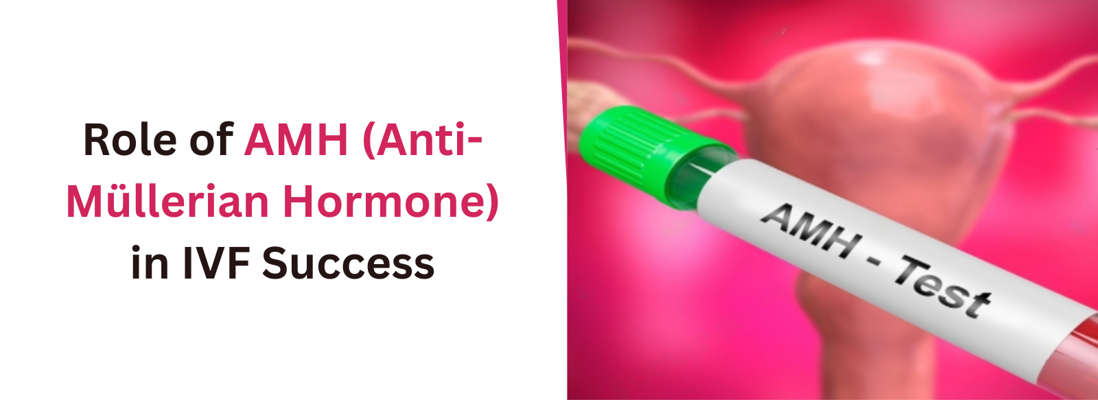 Does-obsity-affect-male-infertility