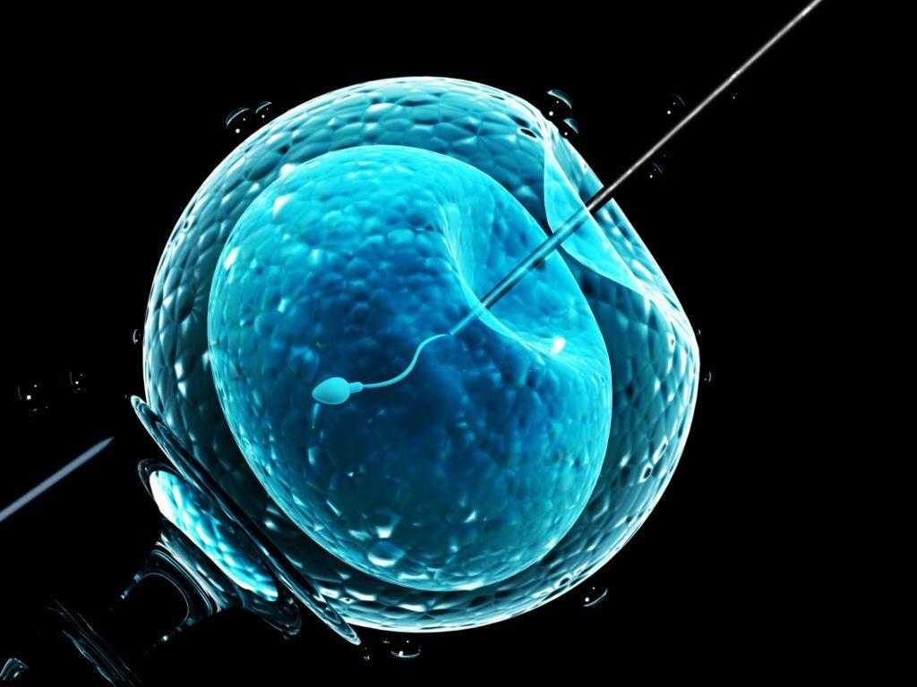 iui-banner