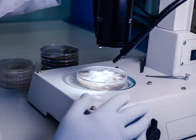 Want to freeze eggs or embryos?