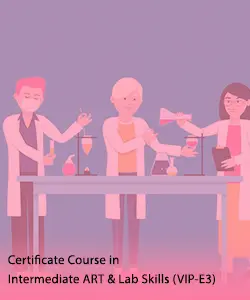 intermediate-art-lab-skills-vip-e3