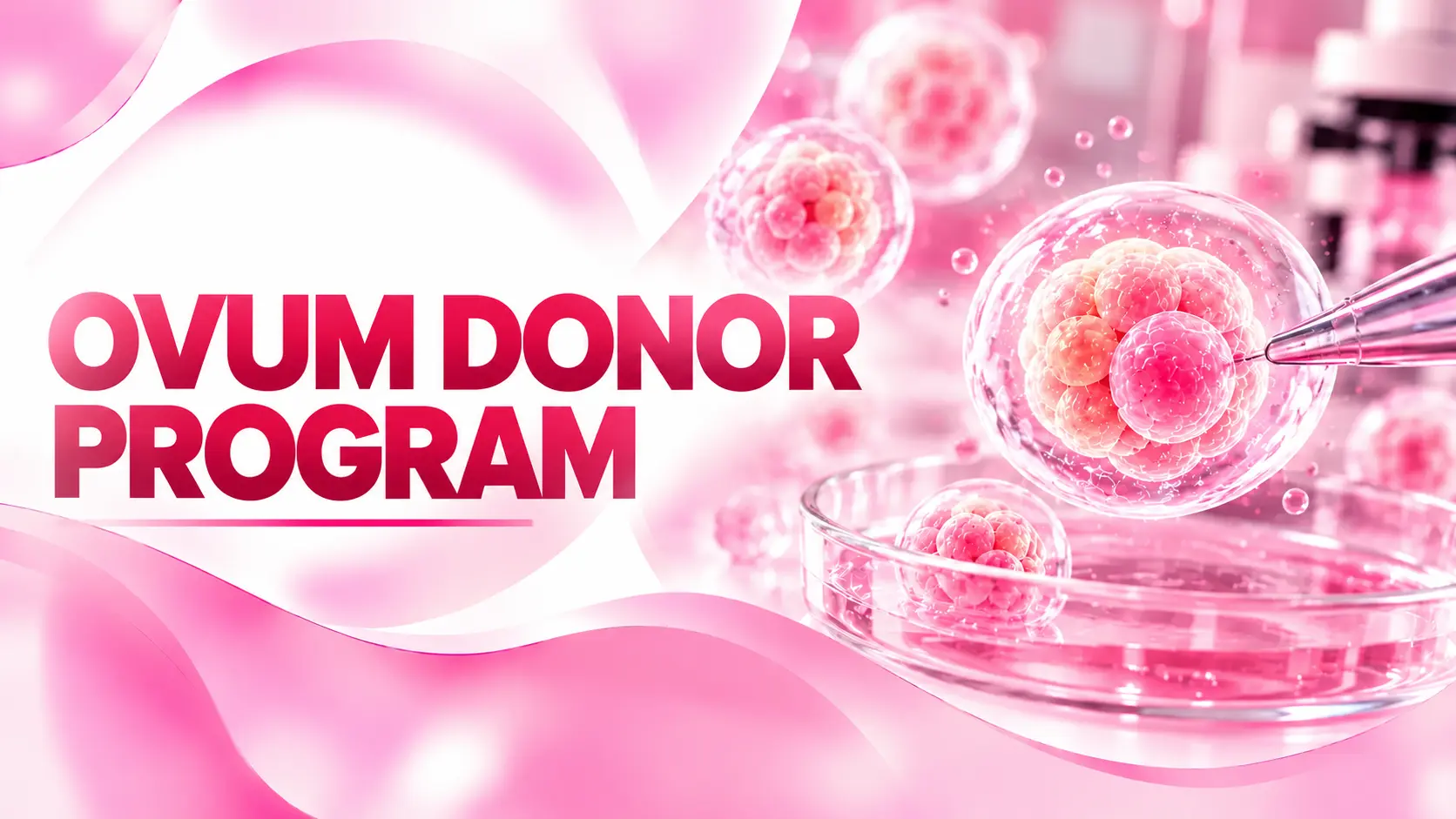 ovum-donor-program-banner