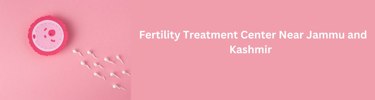 Fertility-Treatment-Center-in.jpg